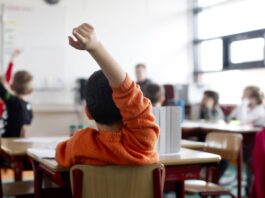 ‘Geen martelgang, maar een meesterlijk vak’ | Brabant