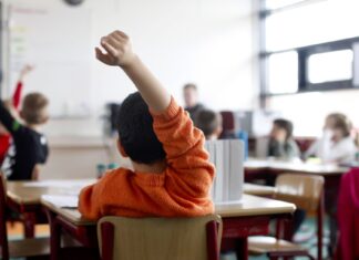 ‘Geen martelgang, maar een meesterlijk vak’ | Brabant