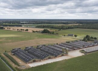 Vergunningenkoers van Noord-Brabant breed in twijfel getrokken