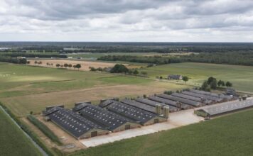 Vergunningenkoers van Noord-Brabant breed in twijfel getrokken
