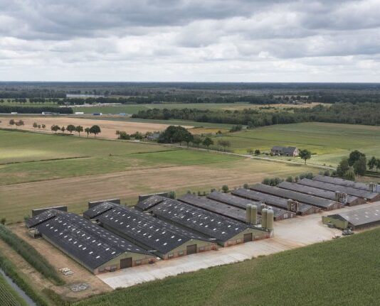 Vergunningenkoers van Noord-Brabant breed in twijfel getrokken